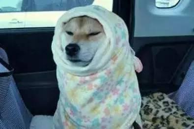 為什么說冬季采暖室溫不超過22℃最舒適最健康?(圖2) 為什么說冬季采暖室溫不超過22℃最舒適最健康?(圖2)